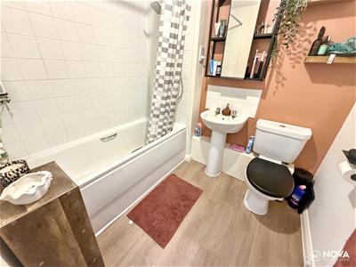 Picture 12